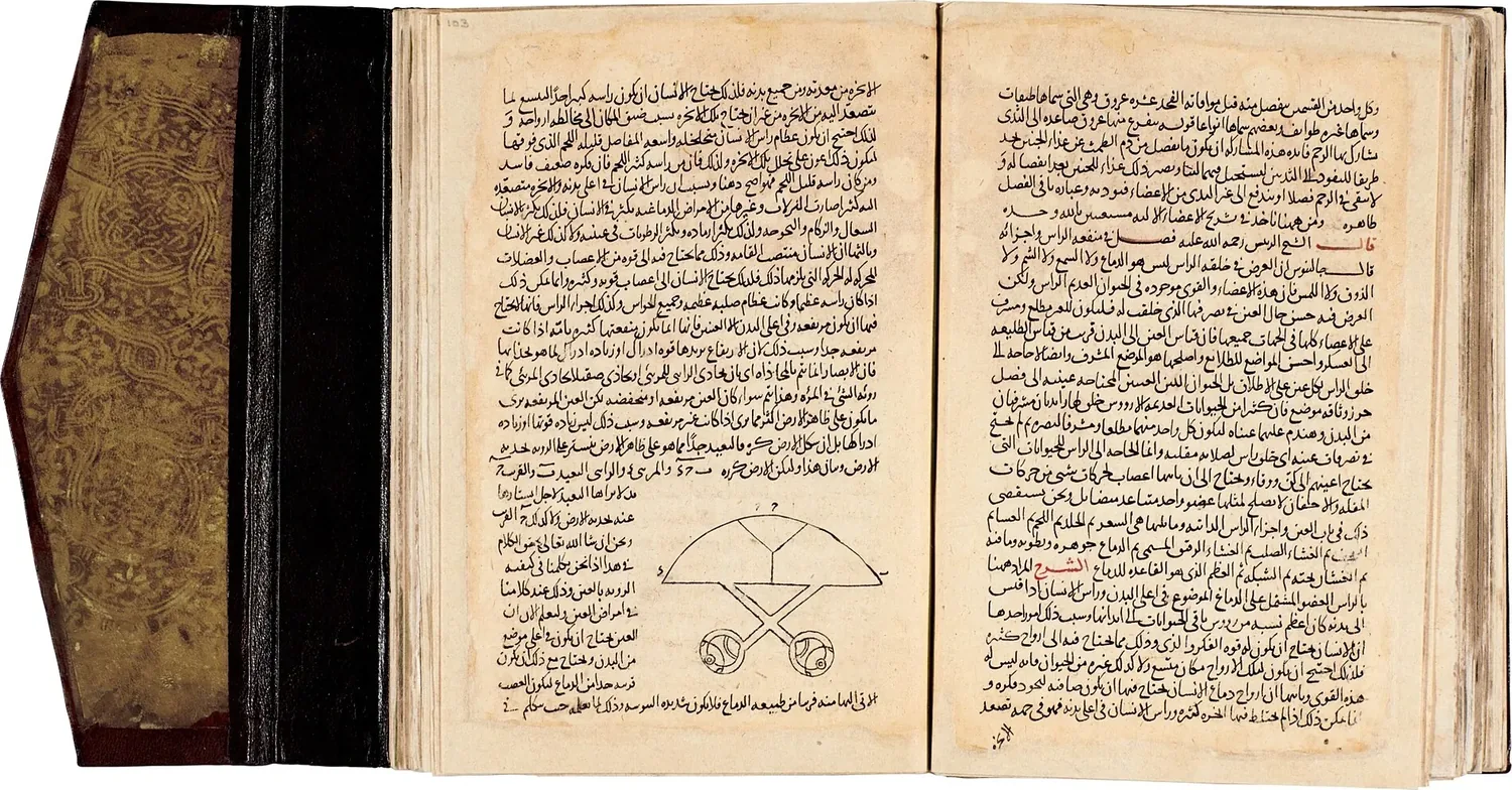 مخطوطة عربية مفتوحة على صفحتين متقابلتين من شرح تشريح القانون لابن النفيس، وفيها رسم تخطيطي