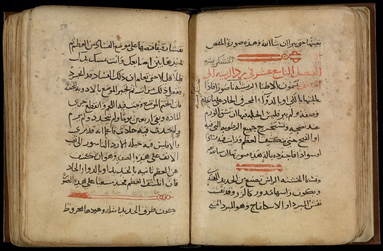 A facing pair of pages from a manuscript of al-Zahrāwī's al-Taṣrīf, showing surgical instruments drawn in red ink between the lines of the text